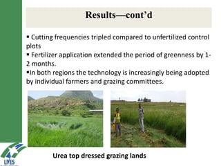 LIVES feed value chain development: Approaches and scalable interventions 