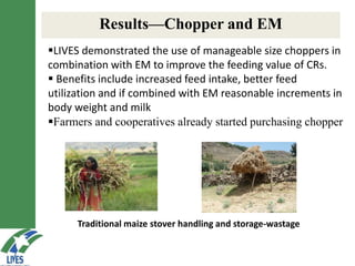 LIVES feed value chain development: Approaches and scalable interventions 
