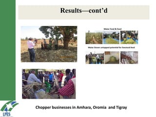 LIVES feed value chain development: Approaches and scalable interventions 