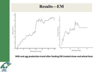 LIVES feed value chain development: Approaches and scalable interventions 