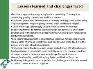 LIVES feed value chain development: Approaches and scalable interventions 