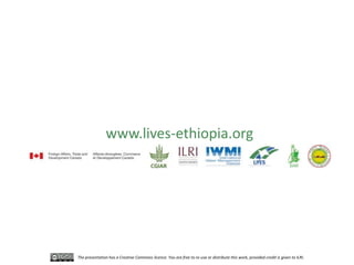 LIVES feed value chain development: Approaches and scalable interventions 
