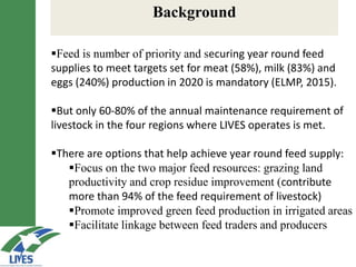 LIVES feed value chain development: Approaches and scalable interventions 