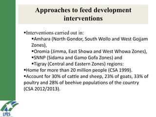 LIVES feed value chain development: Approaches and scalable interventions 