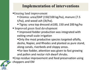 LIVES feed value chain development: Approaches and scalable interventions 