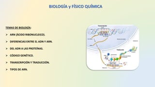 BIOLOGÍA y FÍSICO QUÍMICA
TEMAS DE BIOLOGÍA:
 ARN (ÁCIDO RIBONUCLEICO).
 DIFERENCIAS ENTRE EL ADN Y ARN.
 DEL ADN A LAS PROTEÍNAS.
 CÓDIGO GENÉTICO.
 TRANSCRIPCIÓN Y TRADUCCIÓN.
 TIPOS DE ARN.
 