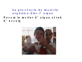 La presència de matèria orgànica dins l’aigua Posem la meitat d’aigua al tub d’assaig 