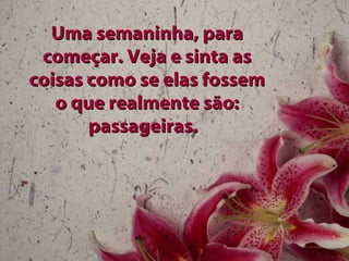 Uma semaninha, paraUma semaninha, para
começar. Veja e sinta ascomeçar. Veja e sinta as
coisas como se elas fossemcoisas como se elas fossem
o que realmente são:o que realmente são:
passageiras.passageiras.
 