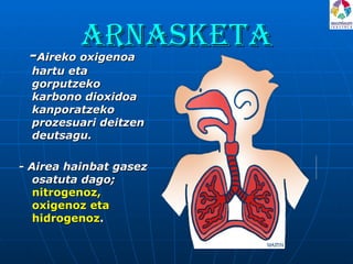 Arnasketa - Aireko oxigenoa hartu eta gorputzeko karbono dioxidoa kanporatzeko prozesuari deitzen deutsagu.  - Airea hainbat gasez osatuta dago;   nitrogenoz, oxigenoz eta hidrogenoz . 