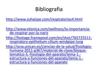 Bibliografia
http://www.zuhaizpe.com/respiratorias4.html
http://www.vitonica.com/wellness/la-importancia-
de-respirar-por-la-nariz
http://footage.framepool.com/en/shot/765725511-
respiratory-epithelium-cilium-windpipe-lung
http://ocw.unican.es/ciencias-de-la-salud/fisiologia-
humana-2011-g367/material-de-clase/bloque-
tematico-3.-fisiologia-del-aparato/tema-1.-
estructura-y-funciones-del-aparato/tema-1.-
estructura-y-funciones-del-aparato
 