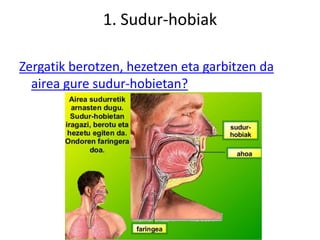 1. Sudur-hobiak
Zergatik berotzen, hezetzen eta garbitzen da
airea gure sudur-hobietan?
 
