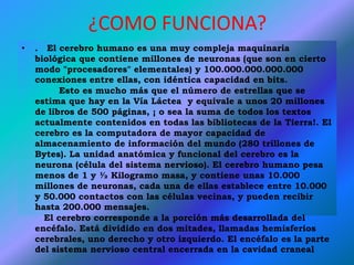 ¿COMO FUNCIONA?
• . El cerebro humano es una muy compleja maquinaria
biológica que contiene millones de neuronas (que son en cierto
modo "procesadores" elementales) y 100.000.000.000.000
conexiones entre ellas, con idéntica capacidad en bits.
Esto es mucho más que el número de estrellas que se
estima que hay en la Vía Láctea y equivale a unos 20 millones
de libros de 500 páginas, ¡ o sea la suma de todos los textos
actualmente contenidos en todas las bibliotecas de la Tierra!. El
cerebro es la computadora de mayor capacidad de
almacenamiento de información del mundo (280 trillones de
Bytes). La unidad anatómica y funcional del cerebro es la
neurona (célula del sistema nervioso). El cerebro humano pesa
menos de 1 y ½ Kilogramo masa, y contiene unas 10.000
millones de neuronas, cada una de ellas establece entre 10.000
y 50.000 contactos con las células vecinas, y pueden recibir
hasta 200.000 mensajes.
El cerebro corresponde a la porción más desarrollada del
encéfalo. Está dividido en dos mitades, llamadas hemisferios
cerebrales, uno derecho y otro izquierdo. El encéfalo es la parte
del sistema nervioso central encerrada en la cavidad craneal
 