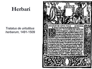 Herbari
Tratatus de virtutibus
herbarum, 1491-1509
 