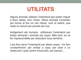 UTILITATS
Alguns animals utilitzen l’orientació per poder migrar
a llocs càlids, com l’ànec. Altres animals s’orienten
per tornar al lloc on van néixer, com el salmó, que
neda riu amunt per pondre els ous.
Antigament els humans utilitzaven l’orientació per
trobar aliments i animals per caçar. Més tard, es va
fer imprescindible per descobrir nous territoris.
I ara fem servir l’orientació per altres coses, i ho fem
constantment: per arribar a casa, per anar a un
restaurant, quan anem d’excursió, per pescar,...
 