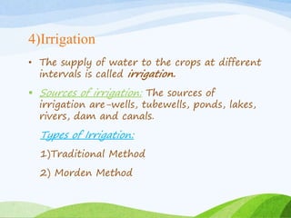 4)Irrigation
• The supply of water to the crops at different
intervals is called irrigation.
 Sources of irrigation: The sources of
irrigation are-wells, tubewells, ponds, lakes,
rivers, dam and canals.
Types of Irrigation:
1)Traditional Method
2) Morden Method
 