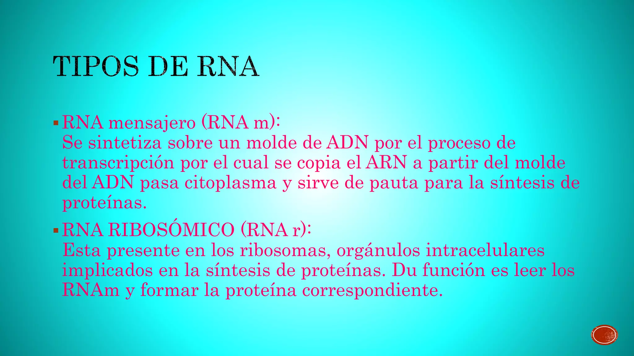 Arn (ácido ribonucleico) | PPT