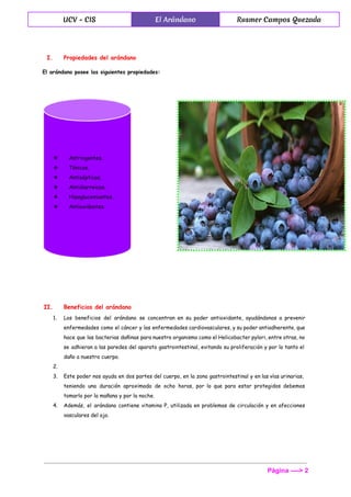  
UCV - CIS El Arándano Rusmer Campos Quezada
 
I. Propiedades del arándano
El arándano posee las siguientes propiedades:
II. Beneficios del arándano
1. Los beneficios del arándano se concentran en su poder antioxidante, ayudándonos a prevenir
enfermedades como el cáncer y las enfermedades cardiovasculares, y su poder antiadherente, que
hace que las bacterias dañinas para nuestro organismo como el Helicobacter pylori, entre otras, no
se adhieran a las paredes del aparato gastrointestinal, evitando su proliferación y por lo tanto el
daño a nuestro cuerpo.
2.
3. Este poder nos ayuda en dos partes del cuerpo, en la zona gastrointestinal y en las vías urinarias,
teniendo una duración aproximada de ocho horas, por lo que para estar protegidos debemos
tomarlo por la mañana y por la noche.
4. Además, el arándano contiene vitamina P, utilizada en problemas de circulación y en afecciones
vasculares del ojo.
Página ­­­­> 2 
 