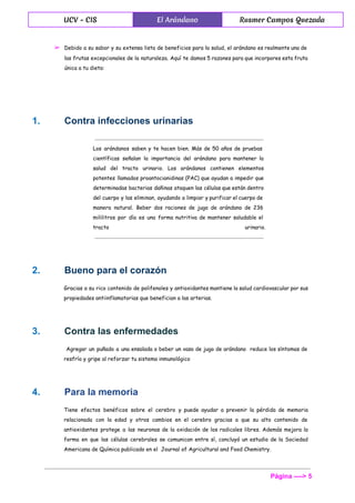  
UCV - CIS El Arándano Rusmer Campos Quezada
 
➢ Debido a su sabor y su extensa lista de beneficios para la salud, el arándano es realmente una de
las frutas excepcionales de la naturaleza. Aquí te damos 5 razones para que incorpores esta fruta
única a tu dieta:
1.  Contra infecciones urinarias 
Los arándanos saben y te hacen bien. Más de 50 años de pruebas
científicas señalan la importancia del arándano para mantener la
salud del tracto urinario. Los arándanos contienen elementos
potentes llamados proantocianidinas (PAC) que ayudan a impedir que
determinadas bacterias dañinas ataquen las células que están dentro
del cuerpo y las eliminan, ayudando a limpiar y purificar el cuerpo de
manera natural. Beber dos raciones de jugo de arándano de 236
mililitros por día es una forma nutritiva de mantener saludable el
tracto urinario.
2.  Bueno para el corazón 
Gracias a su rico contenido de polifenoles y antioxidantes mantiene la salud cardiovascular por sus
propiedades antiinflamatorias que benefician a las arterias.
3.  Contra las enfermedades 
Agregar un puñado a una ensalada o beber un vaso de jugo de arándano reduce los síntomas de
resfrío y gripe al reforzar tu sistema inmunológico
4.  Para la memoria 
Tiene efectos benéficos sobre el cerebro y puede ayudar a prevenir la pérdida de memoria
relacionada con la edad y otros cambios en el cerebro gracias a que su alto contenido de
antioxidantes protege a las neuronas de la oxidación de los radicales libres. Además mejora la
forma en que las células cerebrales se comunican entre sí, concluyó un estudio de la Sociedad
Americana de Química publicado en el Journal of Agricultural and Food Chemistry.
Página ­­­­> 5 
 