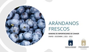 ARÁNDANOS
FRESCOS
RANKING DE IMPORTACIONES DE CANADÁ
ENERO - DICIEMBRE | 2021 - 2022
 