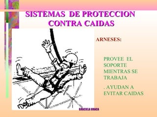 SISTEMAS DE PROTECCION
CONTRA CAIDAS
ARNESES:

PROVEE EL
SOPORTE
MIENTRAS SE
TRABAJA
. AYUDAN A
EVITAR CAIDAS
GRACIELA URACA

 