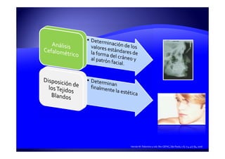 Hernán M. Palomino y cols. Rev CEFAC, São Paulo, v.8, n.4, 477-84, 2006
 