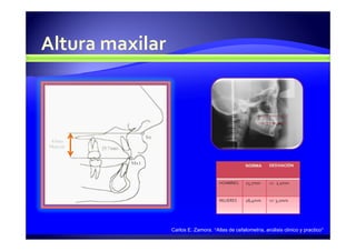 Carlos E. Zamora. “Atlas de cefalometría, análisis clínico y practico”
 