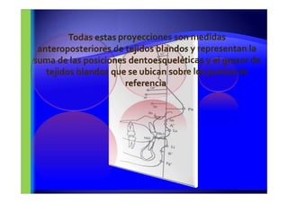 Todas estas proyecciones son medidas
anteroposteriores de tejidos blandos y representan la
suma de las posiciones dentoesqueléticas y el grosor de
tejidos blandos que se ubican sobre los puntos de
referencia.
 
