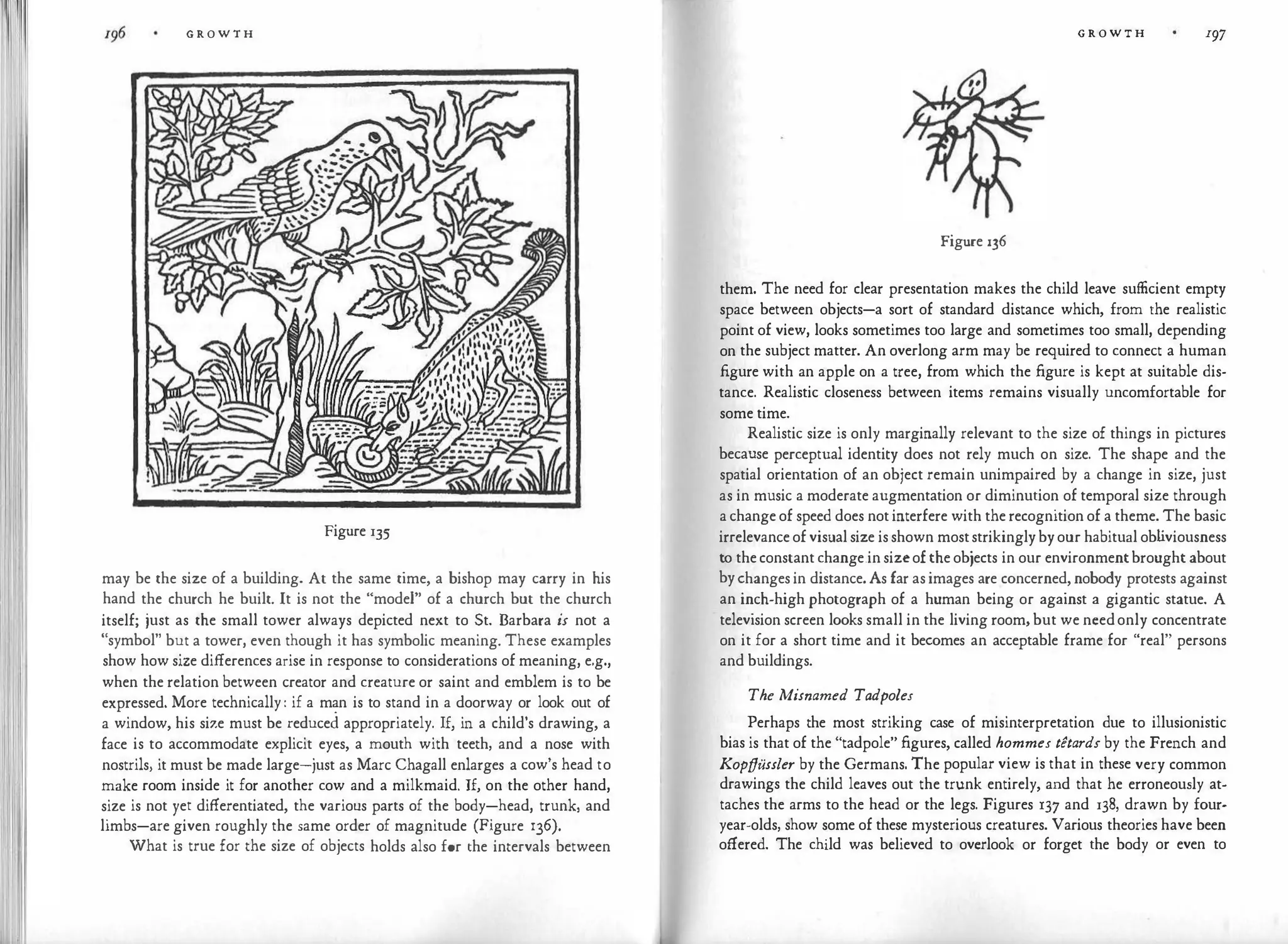 G R O W T H
Figure 135
may be the size of a building. At the same time, a bishop may carry in his
hand the church he built. It is not the "model" of a church but the church
itself; just as the small tower always depicted next to St. Barbara is not a
"symbol" but a tower, even though it has symbolic meaning. These examples
show how size differences arise in response to considerations of meaning, e.g.,
when the relation between creator and creature or saint and emblem is to be
expressed. More technically : if a man is to stand in a doorway or look out of
a window, his size must be reduced appropriately. If, in a child's drawing, a
face is to accommodate explicit eyes, a mouth with teeth, and a nose with
nostrils, it must be made large-just as Marc Chagall enlarges a cow's head to
make room inside it for another cow and a milkmaid. If, on the other hand,
size is not yet differentiated, the various parts of the body-head, trunk, and
limbs-are given roughly the same order of magnitude (Figure 136).
What is true for the size of objects holds also for the intervals between
G R O W T H I97
Figure 136
them. The need for clear presentation makes the child leave sufficient empty
space between objects-a sort of standard distance which, from the realistic
point of view, looks sometimes too large and sometimes too small, depending
on the subject matter. An overlong arm may be required to connect a human
figure with an apple on a tree, from which the figure is kept at suitable dis­
tance. Realistic closeness between items remains visually uncomfortable for
some time.
Realistic size is only marginally relevant to the size of things in pictures
because perceptual identity does not rely much on size. The shape and the
spatial orientation of an object remain unimpaired by a change in size, just
as in music a moderate augmentation or diminution of temporal size through
a change of speed does not interfere with the recognition of a theme. The basic
irrelevance of visual size is shown moststrikingly byour habitual ob l
iviousness
to the constant change.in sizeof the objects in our environmentbrought about
bychanges in distance. As far as images are concerned, nobody protests against
an inch-high photograph of a human being or against a gigantic statue. A
television screen looks small in the living room, but we needonly concentrate
on it for a short time and it becomes an acceptable frame for "real" persons
and buildings.
The Misnamed Tadpoles
Perhaps the most striking case of misinterpretation due to illusionistic
bias is that of the "tadpole" figures, called hommes t�tards by the French and
Kopffussler by the Germans. The popular view is that in these very common
drawings the child leaves out the trunk entirely, and that he erroneously at­
taches the arms to the head or the legs. Figures 137 and 138, drawn by four­
year-olds, show some of these mysterious creatures. Various theories have been
offered. The child was believed to overlook or forget the body or even to
 