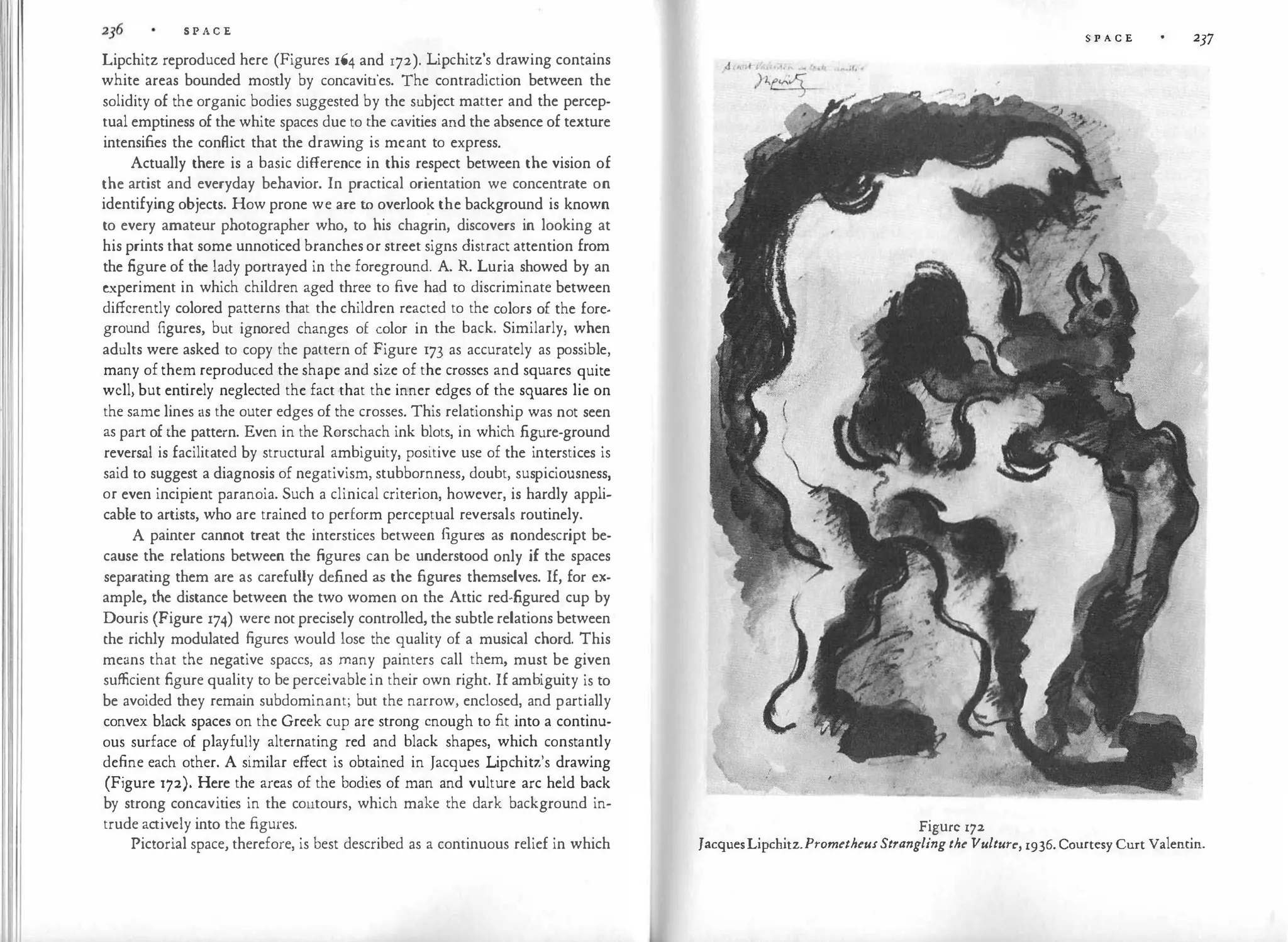 S P A C E
Lipchitz reproduced here (Figures 164 and 172). Lipchitz's drawing contains
white areas bounded mostly by concavities. The contradiction between the
solidity of the organic bodies suggested by the subject matter and the percep­
tual emptiness of the white spaces due to the cavities and the absence of texture
intensifies the conflict that the drawing is meant to express.
Actually there is a basic difference in this respect between the vision of
the artist and everyday behavior. In practical orientation we concentrate on
identifying objects. How prone we are to overlook the background is known
to every amateur photographer who, to his chagrin, discovers in looking at
his prints that some unnoticed branches or street signs distract attention from
the figure of the lady portrayed in the foreground. A. R. Luria showed by an
experiment in which children aged three to five had to discriminate between
differently colored patterns that the children reacted to the colors of the fore­
ground figures, but ignored changes of color in the back. Similarly, when
adults were asked to copy the pattern of Figure 173 as accurately as possible,
many of them reproduced the shape and size of the crosses and squares quite
well, but entirely neglected the fact that the inner edges of the squares lie on
the same lines as the outer edges of the crosses. This relationship was not seen
as part of the pattern. Even in the Rorschach ink blots, in which figure-ground
reversal is facilitated by structural ambiguity, positive use of the interstices is
said to suggest a diagnosis of negativism, stubbornness, doubt, suspiciousness,
or even incipient paranoia. Such a clinical criterion, however, is hardly appli­
cable to artists, who are trained to perform perceptual reversals routinely.
A painter cannot treat the interstices between figures as nondescript be­
cause the relations between the figures can be understood only if the spaces
separating them are as carefully defined as the figures themselves. If, for ex­
ample, the distance between the two women on the Attic red-figured cup by
Douris (Figure 174) were not precisely controlled, the subtle relations between
the richly modulated figures would lose the quality of a musical chord. This
means that the negative spaces, as many painters call them, must be given
sufficient figure quality to be perceivable in their own right. If ambiguity is to
be avoided they remain subdominant; but the narrow, enclosed, and partially
convex black spaces on the Greek cup are strong enough to fit into a continu­
ous surface of playfully alternating red and black shapes, which constantly
define each other. A similar effect is obtained in Jacques Lipchitz's drawing
(Figure i72). Here the areas of the bodies of man and vulture arc held back
by strong concavities in the contours, which make the dark background in­
trude actively into the figures.
Pictorial space, therefore, is best described as a continuous relief in which
S P A C E 237
Figure 172
JacquesLipchitz.PrometheusStranglingthe Vulture, 1936. Courtesy Curt Valentin.
 