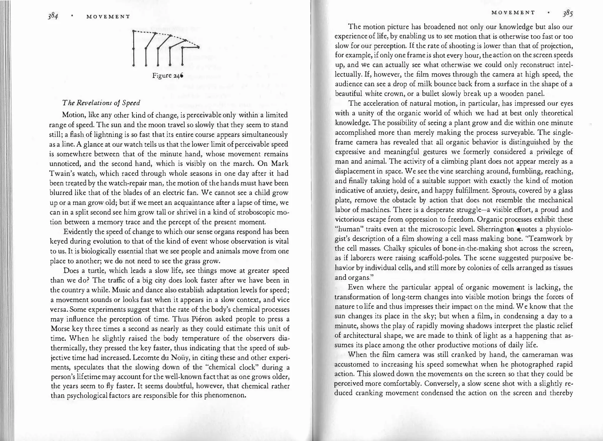 M O V E M E N T
Figure 246
TheRevelations of Speed
Motion, like any other kind of change, is perceivable only within a limited
range of speed. The sun and the moon travel so slowly that they seem to stand
still; a flash of lightning is so fast that its entire course appears simultaneously
as a line. A glance at our watch tells us that the lower limit ofperceivable speed
is somewhere between that of the minute hand, whose movement remains
unnoticed, and the second hand, which is visibly on the march. On Mark
Twain's watch, which raced through whole seasons in one day after it had
been treated by the watch-repair man, the motion of thehands must have been
blurred like that of the blades of an electric fan. We cannot see a child grow
up or a man grow old; but if we meet an acquaintance after a lapse of time, we
can in a split second see him grow tall or shrivel in a kind of stroboscopic mo­
tion between a memory trace and the percept of the present moment.
Evidently the speed of change to which our sense organs respond has been
keyed during evolution to that of the kind of event whose observation is vital
to us. It is biologically essential that we see people and animals move from one
place to another; we do not need to see the grass grow.
Does a turtle, which leads a slow life, see things move at greater speed
than we do? The traffic of a big city does look faster after we have been in
the country a while. Music and dance also establish adaptation levels for speed;
a movement sounds or looks fast when it appears in a slow context, and vice
versa. Some experiments suggest that the rate of the body's chemical processes
may influence the perception of time. Thus Pieron asked people to press a
Morse key three times a second as nearly as they could estimate this unit of
time. When he slightly raised the body temperature of the observers dia­
thermically, they pressed the key faster, thus indicating that the speed of sub­
jective time had increased. Lecomte du Noiiy, in c
iting these and other experi­
ments, speculates that the slowing down of the "chemical clock" during a
person's lifetimemay account for the well-known fact that as one grows older,
the years seem to fly faster. It seems doubtful, however, that chemical rather
than psychological factors are responsible for this phenomenon.
M O V E M E N T
The motion picture has broadened not only our knowledge but also our
experience of life, by enabling us to see motion that is otherwise too fast or too
slow for our perception. l£ the rate of shooting is lower than that of projection,
for example, ifonly one frameis shot every hour, theaction on the screen speeds
up, and we can actually see what otherwise we could only reconstruct intel­
lectually. If, however, the film moves through the camera at high speed, the
audience can see a drop of milk bounce back from a surface in the shape of a
beautiful white crown, or a bullet slowly break up a wooden panel.
The acceleration of natural motion, in particular, has impressed our eyes
with a unity of the organic world of which we had at best only theoretical
knowledge. The possibility of seeing a plant grow and die within one minute
accomplished more than merely making the process surveyable. The single­
frame camera has revealed that all organic behavior is distinguished by the
expressive and meaningful gestures we formerly considered a privilege of
man and animal. The activity of a climbing plant does not appear merely as a
displacement in space. We see the vine searching around, fumbling, reaching,
and finally taking hold of a suitable support with exactly the kind of motion
indicative of anxiety, desire, and happy fulfillment. Sprouts, covered by a glass
plate, remove the obstacle by action that does not resemble the mechanical
labor of machines. There is a desperate struggle-a visible effort, a proud and
victorious escape from oppression to freedom. Organic processes exhibit these
"human" traits even at the microscopic level. Sherrington quotes a physiolo­
gist's description of a film showing a cell mass making bone. "Teamwork by
the cell masses. Chalky spicules of bone-in-the-making shot across the screen,
as if laborers were raising scaffold-poles. The scene suggested purposive be­
havior by individual cells, and still more by colonies of cells arranged as tissues
and organs."
Even where the particular appeal of organic movement is lacking, the
transformation of long-term changes into visible motion brings the forces of
nature to life and thus impresses their impact on the mind. We know that the
sun changes its place in the sky; but when a film, in condensing a day to a
minute, shows the play of rapidly moving shadows interpret the plastic relief
of architectural shape, we are made to think of light as a happening that as­
sumes its place among the other productive motions of daily life.
When the film camera was still cranked by hand, the cameraman was
accustomed to increasing his speed somewhat when he photographed rapid
action. This slowed down the movements on the screen so that they could be
perceived more comfortably. Conversely, a slow scene shot with a slightly re­
duced cranking movement condensed the action on the screen and thereby
 