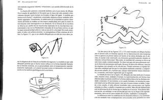 Arnheim rudolf arte_y_percepcion_visual