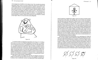 Arnheim rudolf arte_y_percepcion_visual