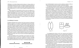 Arnheim rudolf arte_y_percepcion_visual