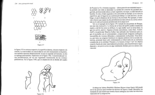 Arnheim rudolf arte_y_percepcion_visual