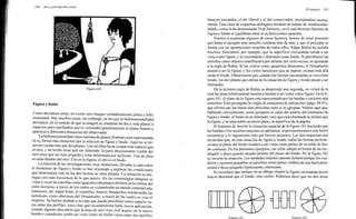 Arnheim rudolf arte_y_percepcion_visual