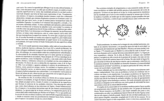 Arnheim rudolf arte_y_percepcion_visual