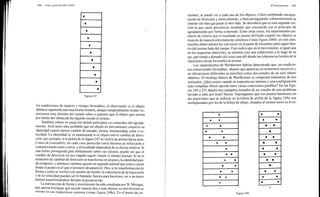 Arnheim rudolf arte_y_percepcion_visual