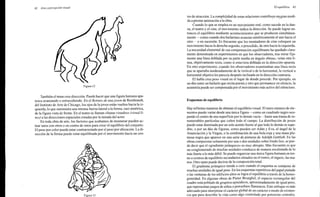 Arnheim rudolf arte_y_percepcion_visual