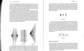 Arnheim rudolf arte_y_percepcion_visual