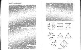Arnheim rudolf arte_y_percepcion_visual