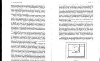 Arnheim rudolf arte_y_percepcion_visual