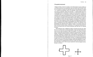 Arnheim rudolf arte_y_percepcion_visual