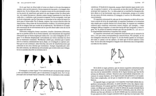 Arnheim rudolf arte_y_percepcion_visual