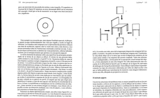 Arnheim rudolf arte_y_percepcion_visual