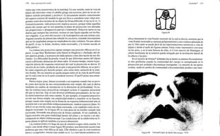 Arnheim rudolf arte_y_percepcion_visual