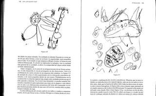 Arnheim rudolf arte_y_percepcion_visual