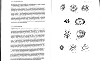 Arnheim rudolf arte_y_percepcion_visual