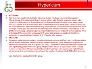 Hypericum

   METHODS:
   Fifty-four male healthy White Wistar rats were divided into three experimental groups (n =
    18), randomly: Sham-operation (Sham), control: silicon tube (Sil) and treatment: silicon tube +
    Hypericum (Sil/Hypericum). In the Sham group after anesthesia left sciatic nerve was exposed
    through a gluteal muscle incision and after homeostasis muscle was sutured. In the Sil group the
    left sciatic nerve was exposed the same way and transected proximal to tibio-peroneal bifurcation
    leaving a 10-mm gap. Proximal and distal stumps were each inserted into a silicone tube. In the
    Sil/Hypericum group a silicone tube was implanted the same way and each animal received three
    oral drops of Hypericum 30c twice daily for 1 week. Each group was subdivided into three
    subgroups of six animals each studied 4, 8, 12 weeks after surgery.
   RESULTS:
   Data were analyzed statistically by factorial analysis of variance (ANOVA) and, the Bonferroni test
    for pair-wise comparisons. Functional study showed faster and better recovery of regenerated
    axons in Sil/Hypericum than in Sil group (P < 0.05). Gastrocnemius muscle mass in Sil/Hypericum
    was significantly greater than in Sil group. Morphometric indices of regenerated fibers showed
    number and diameter of the myelinated fibers in Sil/Hypericum were significantly higher than in
    control group. Immunohistochemistry, showed the location of reactions to S-100 in Sil/Hypericum

                                              .
    was clearly more positive than in Sil group




                                                                                                    17
 
