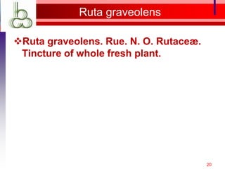 Ruta graveolens

Ruta graveolens. Rue. N. O. Rutaceæ.
 Tincture of whole fresh plant.




                                        20
 
