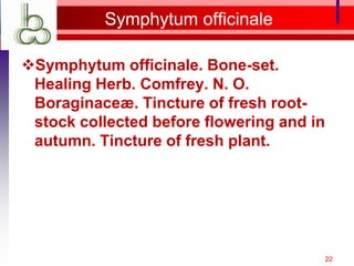 Symphytum officinale

Symphytum officinale. Bone-set.
 Healing Herb. Comfrey. N. O.
 Boraginaceæ. Tincture of fresh root-
 stock collected before flowering and in
 autumn. Tincture of fresh plant.




                                           22
 